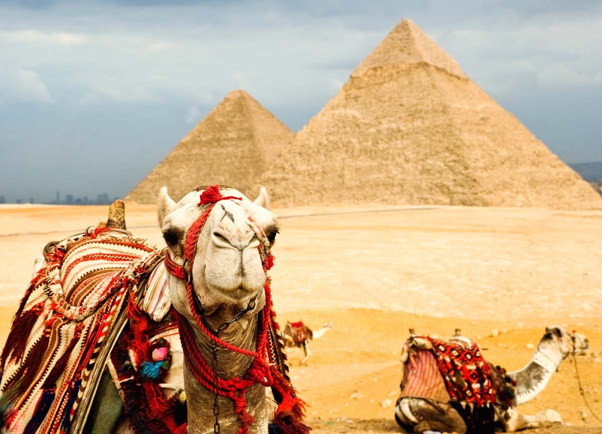 Мифы и факты Египта