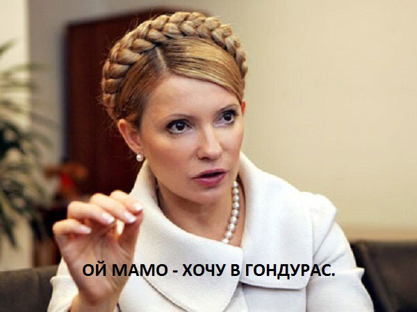 Тимошенко может стать послом Украины в Гондурасе.
