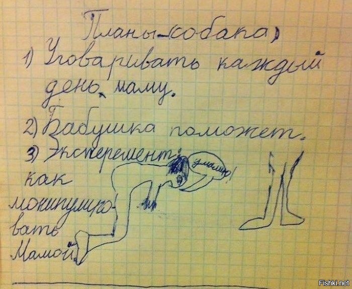 Из солянки