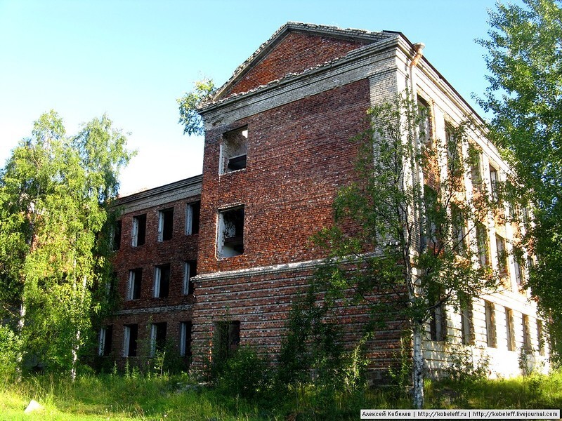 Дикий август. Погружение в реальность