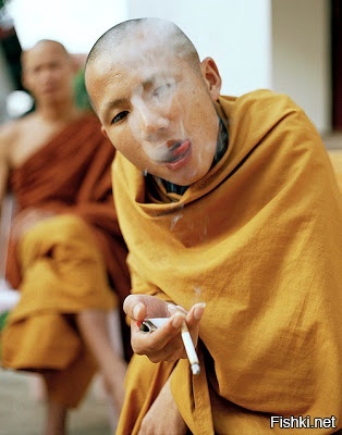 Тибетская гопота