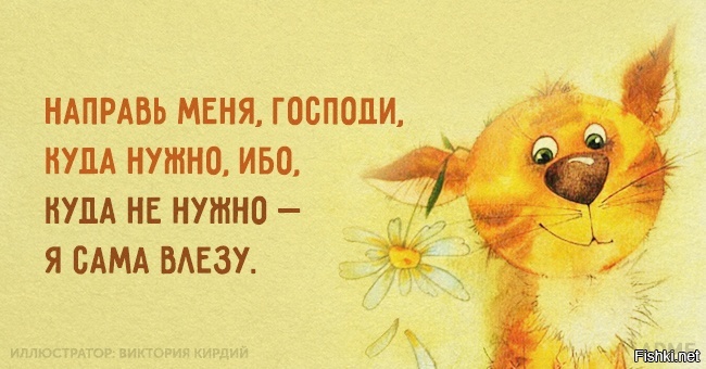Из солянки