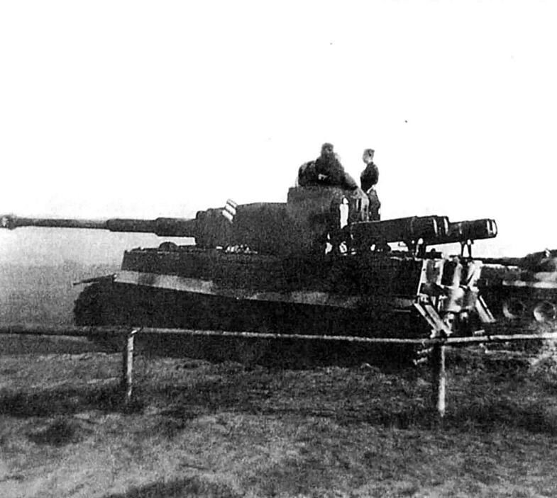 «Самогонные» Panzerkampfwagen.