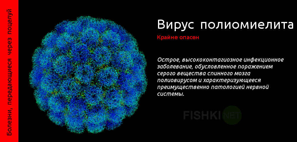 Болезни, передающиеся через поцелуй