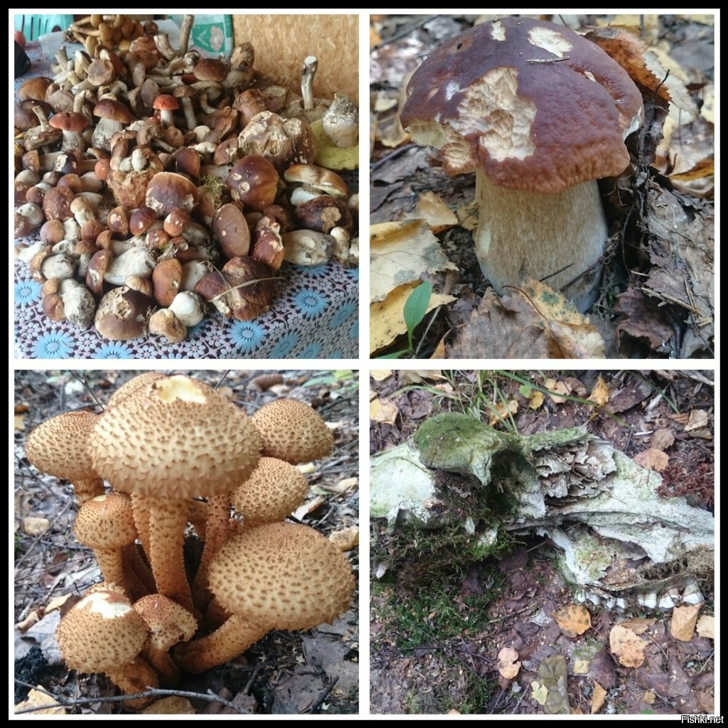 Выходные удались))