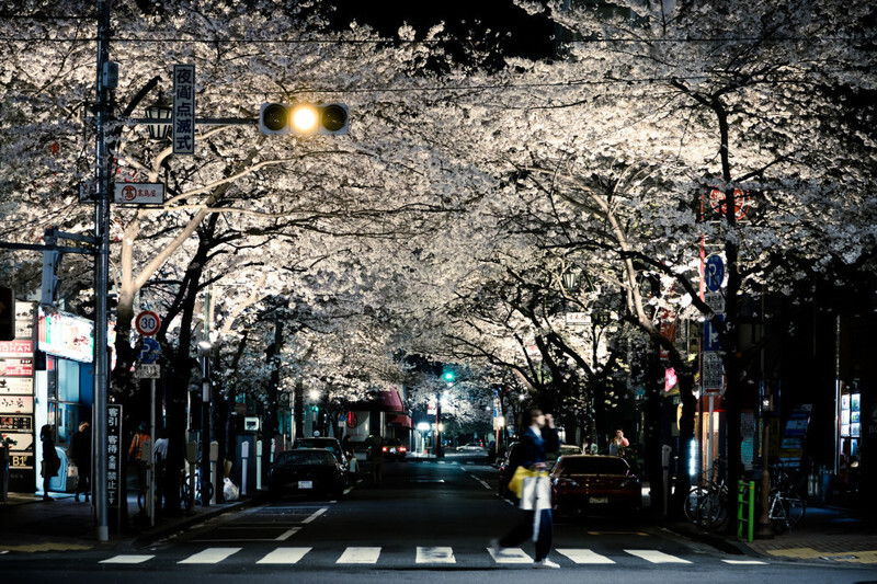 31 фотография, после просмотра которой вам захочется посетить Японию