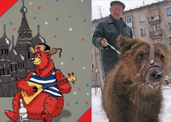 Дикие звери на улицах России. Стереотип или реальность? 