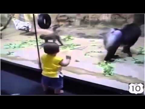 Смешной случай в зоопарке 