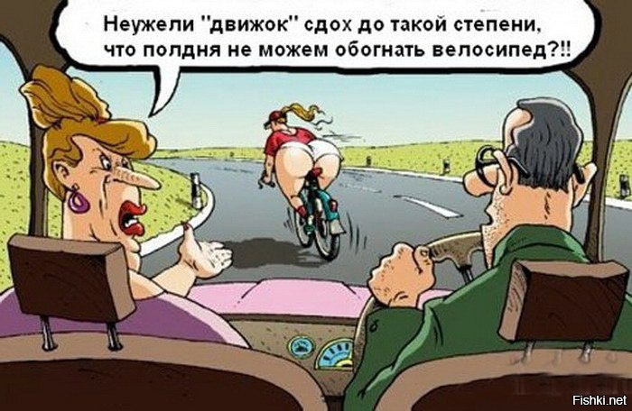 Из солянки