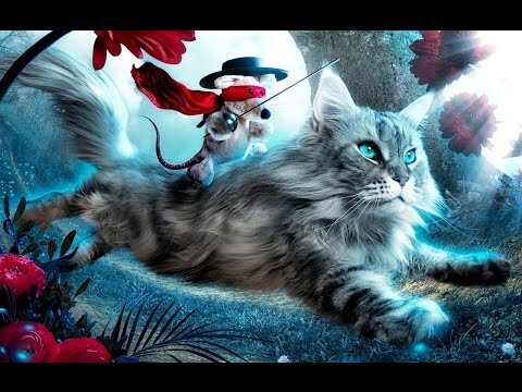 Приколы с котами #3 