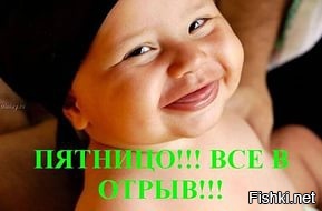 Из солянки