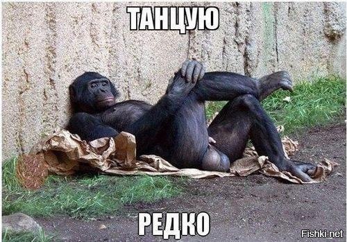 Из солянки