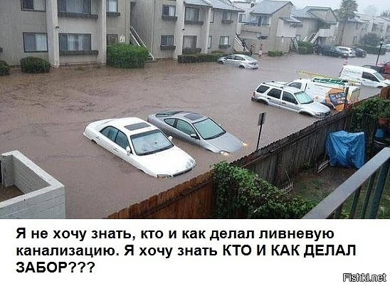 Из солянки