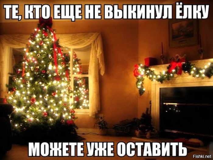 Из солянки
