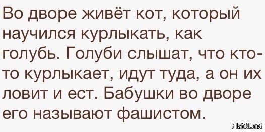 Из солянки