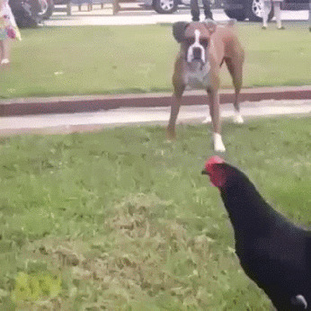 Что-то пошло не так