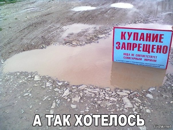 Из солянки