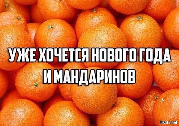 Из солянки