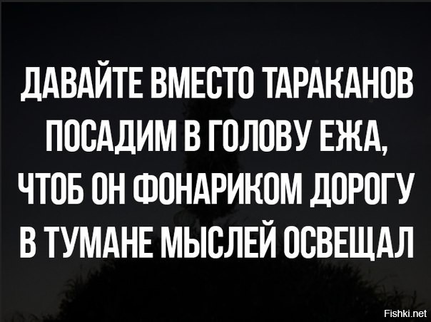 Из солянки