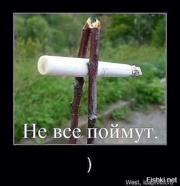 Из солянки