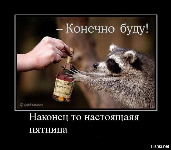 Из солянки