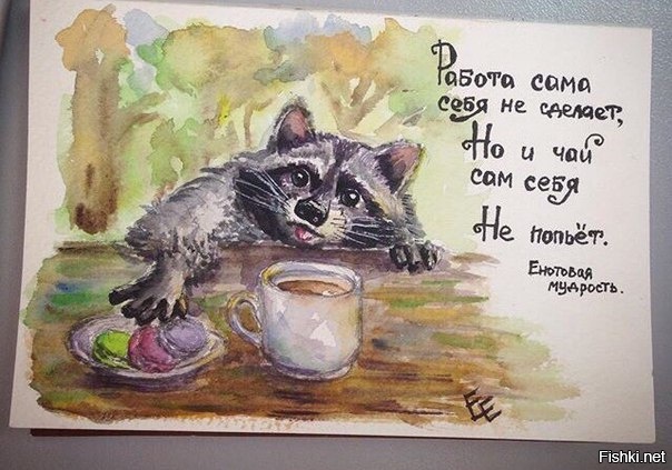 Из солянки