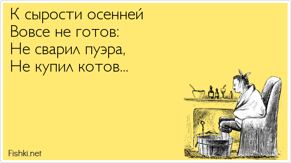 К сырости осенней Вовсе не готов: Не сварил пуэра, Не купил котов...