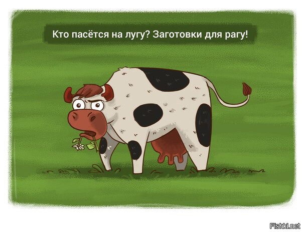 Из солянки