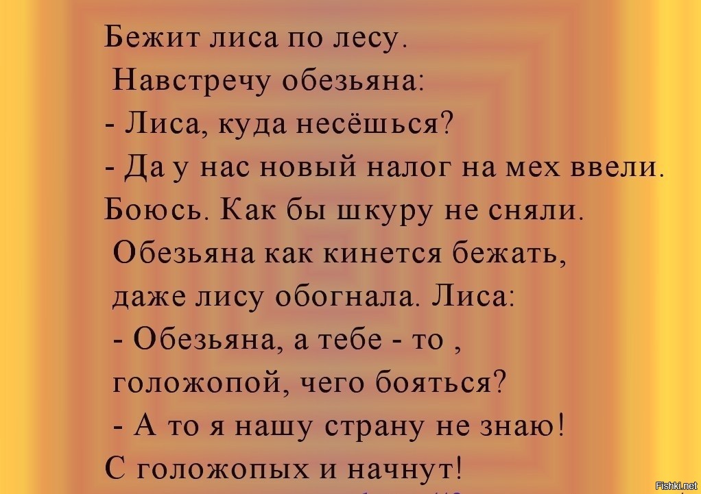 Из солянки