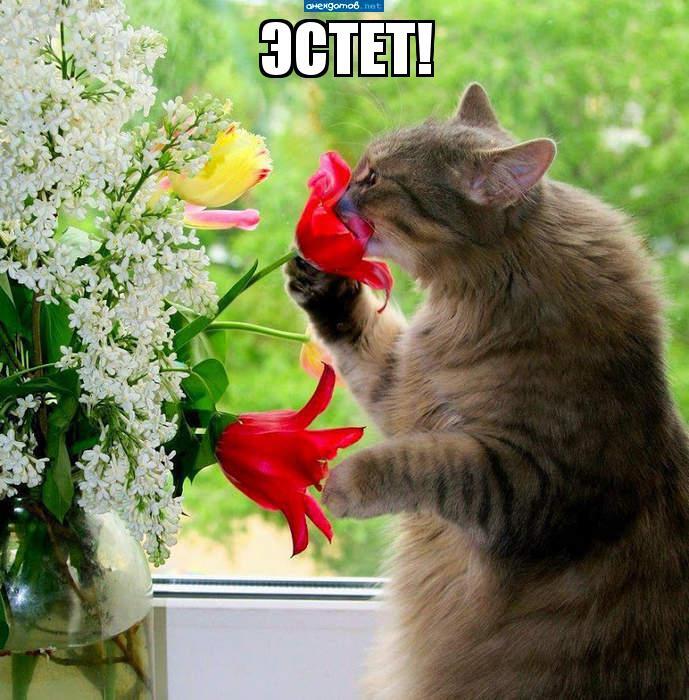 Из солянки