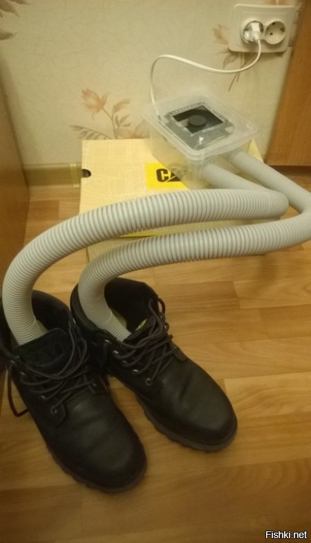 Из солянки