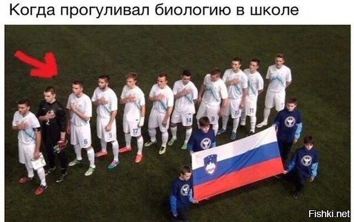Из солянки