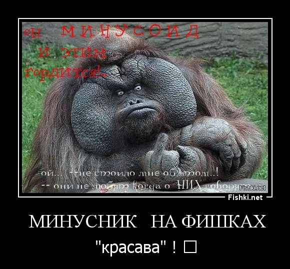  минусник   на фишках