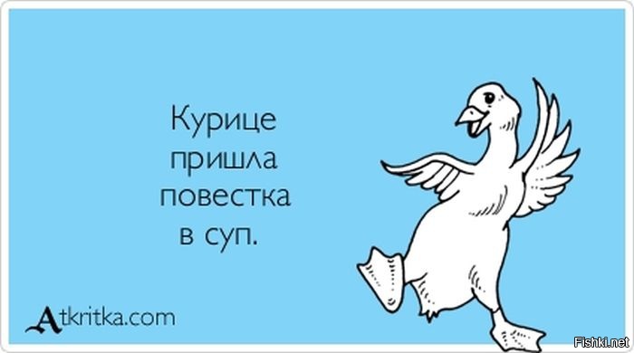 Из солянки