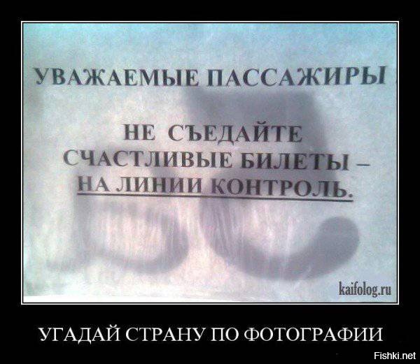 Из солянки