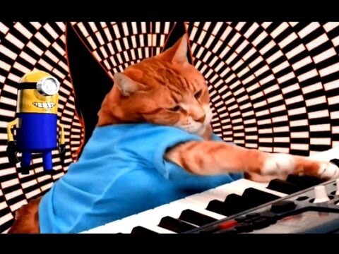 Cat and Piano - Заряжайся #1 