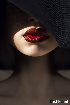 Из солянки