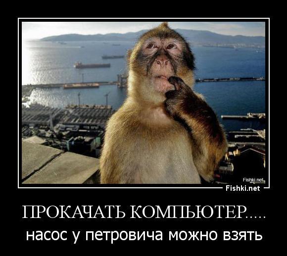 Из солянки
