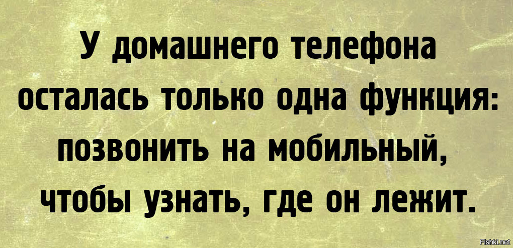 Из солянки