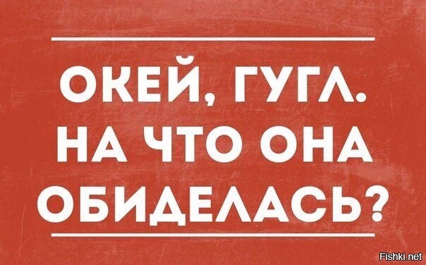 Из солянки
