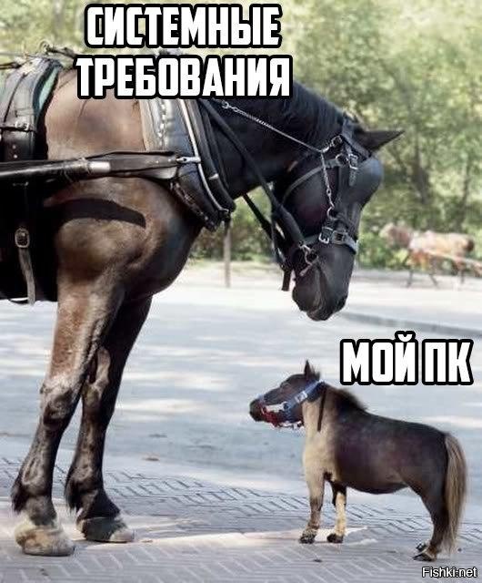 Из солянки