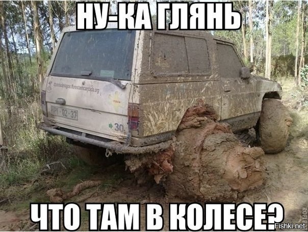 Из солянки