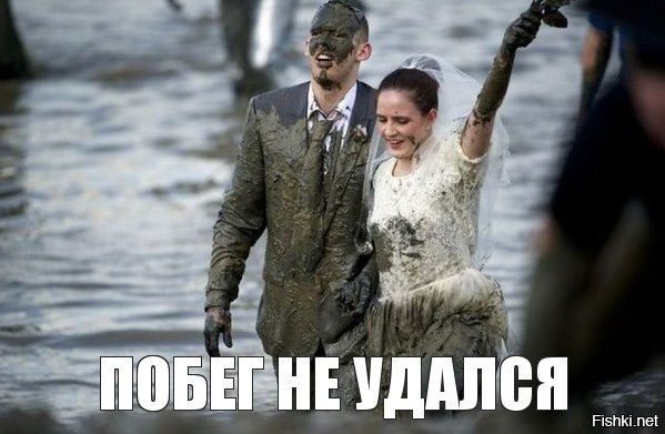 Из солянки