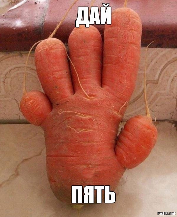 Из солянки