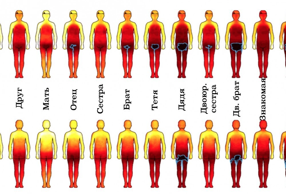 Составлена карта частей тела, к которым можно и нельзя притрагиваться у разных людей  Nak