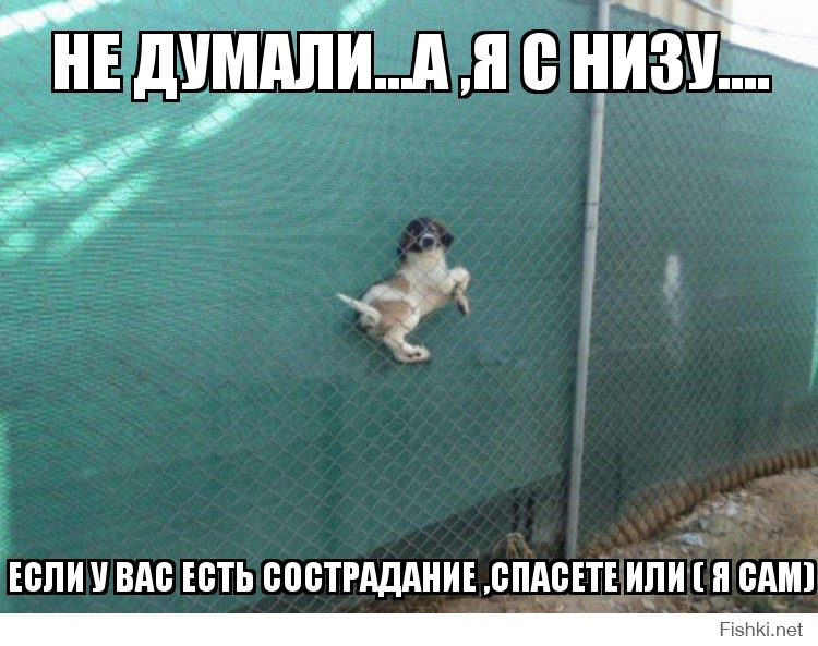 не думали...а ,я с низу....