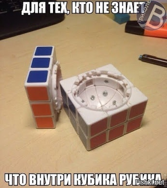 Из солянки