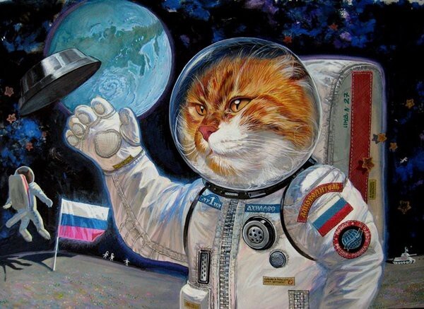 — Кот-космонавт.