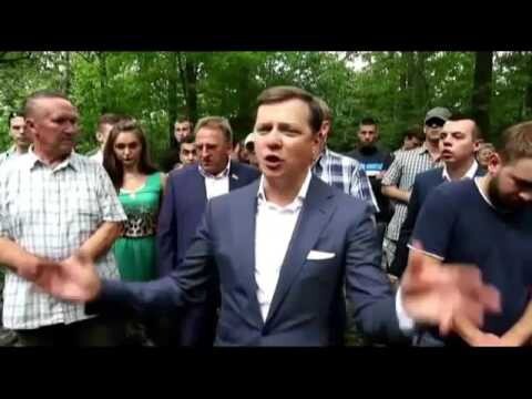  В МИРЕ ЖИВОТНЫХ ПЕТУХИ 