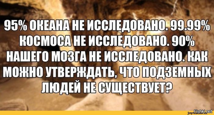 Из солянки
